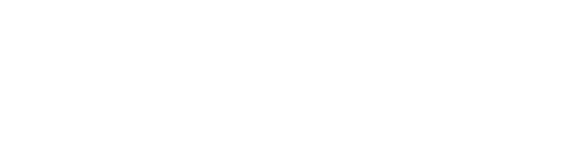 HPE-logo-wht-rgb (white)