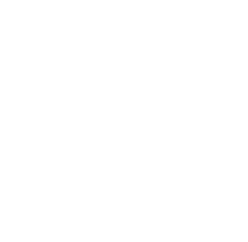 Nexum-Logo-white