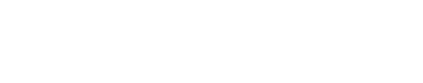 lightyear-logo-all-white