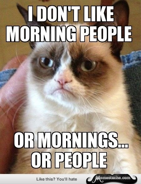 white, brown and black cat with a frown and angry eyes. Text above his head says "I don't like morning people" and the text on the bottom says "or mornings...or people"